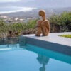 The Dreamer - Thumbnail Image 5