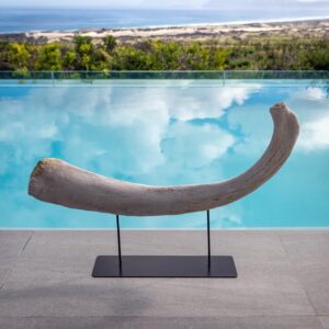 Whale Bone Stand- Medium